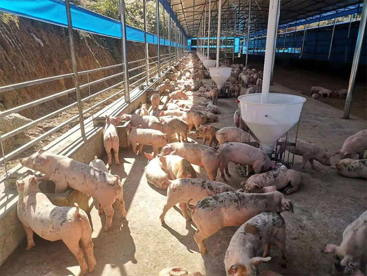 養(yǎng)殖場(使用)